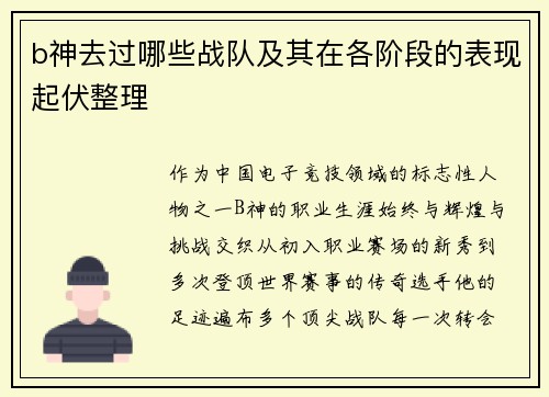 b神去过哪些战队及其在各阶段的表现起伏整理